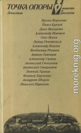 Точка опоры. Выпуск четвертый