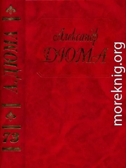 Дюма. Том 73. Путевые впечатления. В России. (Часть первая)