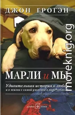 Марли и мы