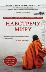 Навстречу миру