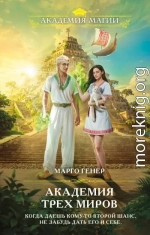 Академия трех миров