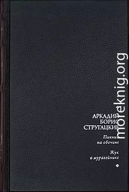 Пикник на обочине. Жук в муравейнике