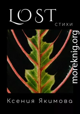 Lost. Стихи