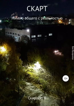 Скарт. Ничего общего с реальностью
