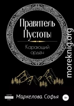 Правитель Пустоты. Карающий орден