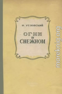 Огни в Снежном