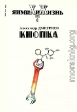 Кнопка