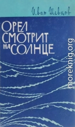 Орел смотрит на солнце (о Сергееве-Ценском)