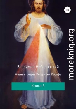 Жизнь и смерть Иешуа бен Иосифа. Книга 3