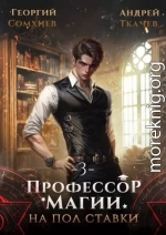 Профессор магии на полставки. Том 3