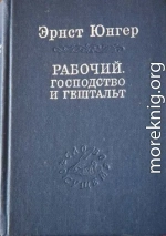 Рабочий. Господство и гештальт; Тотальная мобилизация; О боли