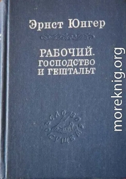 Рабочий. Господство и гештальт; Тотальная мобилизация; О боли