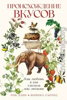 Происхождение вкусов. Как любовь к еде сделала нас людьми