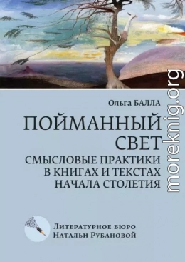 Пойманный свет. Смысловые практики в книгах и текстах начала столетия