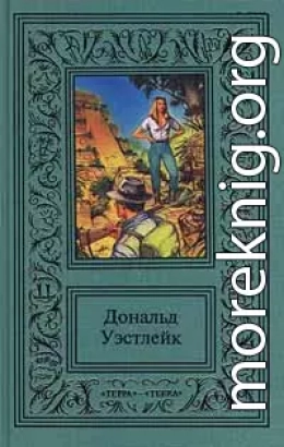 Приключение — что надо!