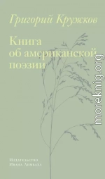 Книга об американской поэзии