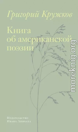 Книга об американской поэзии