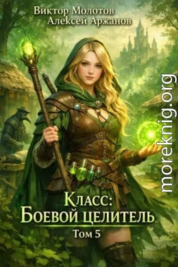 Класс: Боевой Целитель. Том 5