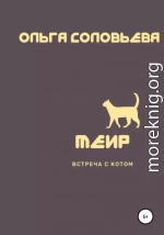 Меир. Встреча с котом