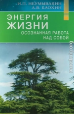 Энергия жизни. Осознанная работа над собой