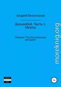 Дальнобой. Часть 1. Менты