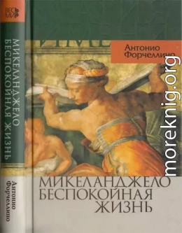 Микеланджело. Беспокойная жизнь