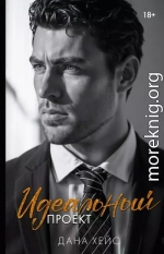 Идеальный проект