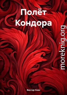 Полёт Кондора