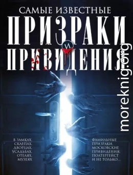 Самые известные призраки и привидения. В замках, склепах, дворцах, усадьбах, отелях, музеях. Фамильные призраки, московские привидения, полтергейст и не только…