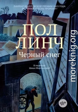 Черный снег