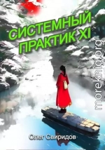 Системный практик XI