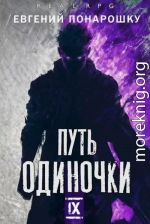 Путь одиночки. Книга 9