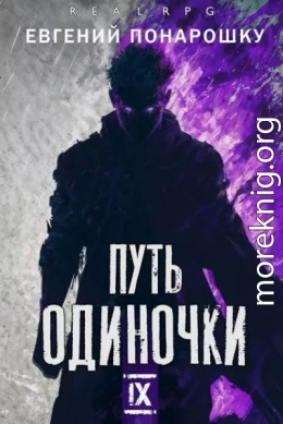 Путь одиночки. Книга 9