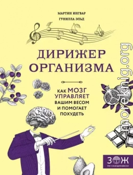 Дирижер организма. Как мозг управляет вашим весом и помогает похудеть