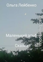 Маленький эльф