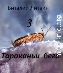 Тараканьи бега – 3