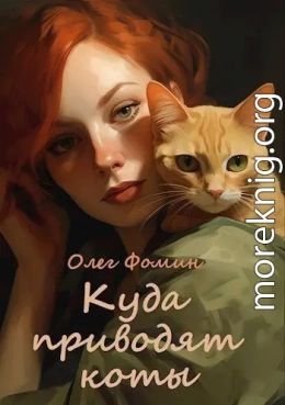 Куда приводят коты