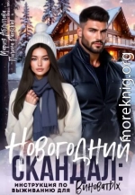 Новогодний скандал: инструкция по выживанию для виноватых
