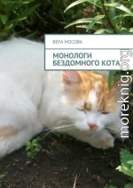 Монологи бездомного кота