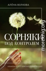 Сорняки под контролем. Избавляемся от нежелательных соседей