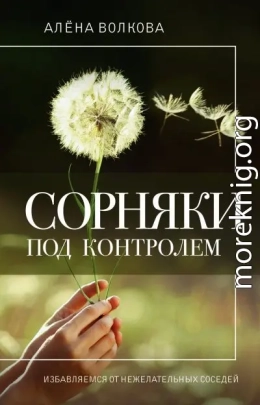Сорняки под контролем. Избавляемся от нежелательных соседей