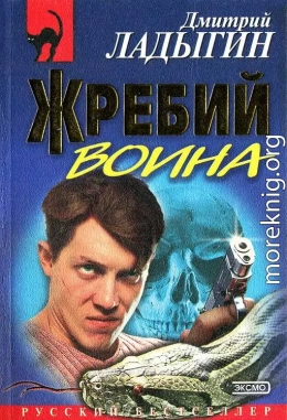 Жребий воина