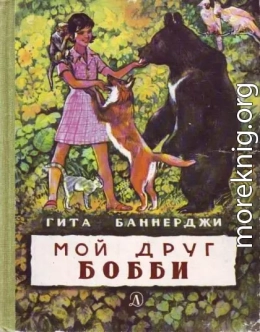 Мой друг Бобби