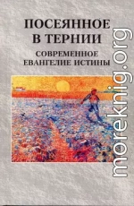 Посеянное в тернии. Современное евангелие истины