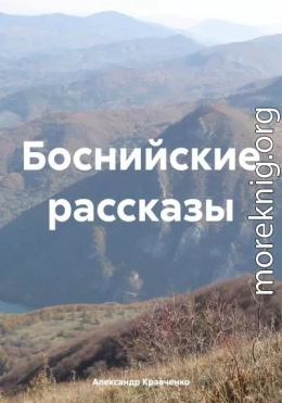 Боснийские рассказы