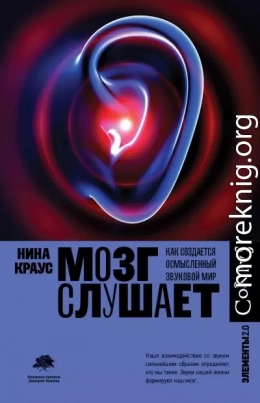Мозг слушает. Как создается осмысленный звуковой мир
