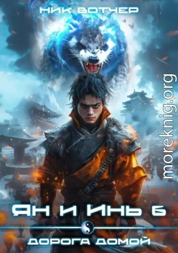 Ян и Инь 6. Дорога домой