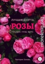Розы. Лучшие сорта
