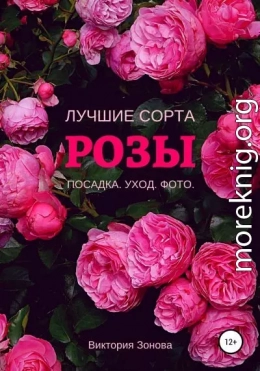 Розы. Лучшие сорта