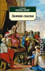 Зимняя сказка